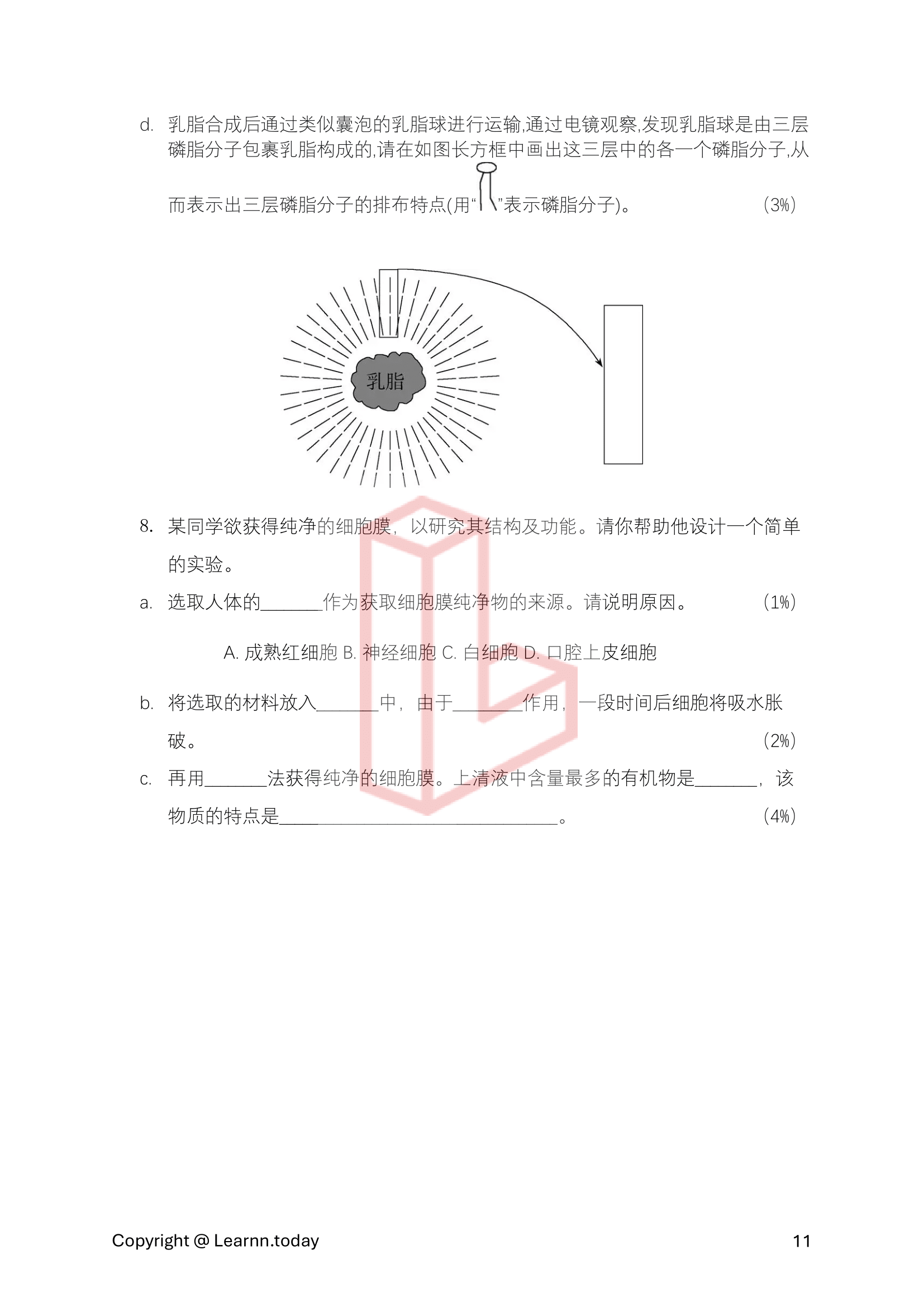 第⼀学期期中考模拟试卷 2 + 答案